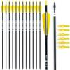 BOWSOUL 30" Carbon Arrows Archery Target Practice Hunting Arrows with 4" Turkey Feather fletched Spine 500 Arrow for Traditional Bow Recurve Bow & Longbow (Pack of 12) (Yellow White) view 1