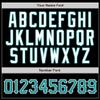 NineFit Basics Custom Baseball Jersey for Men Women Youth, Printed Stitched Personalized Name Number, Black Aqua Pinstripe Baseball Shirt view 3