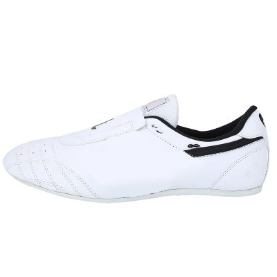Unisex Taekwondo Shoes Sport Boxing Kung Fu Taichi Sneakers for Men, Women and Children, Ideal for Martial Arts, Kickboxing, Karate and Sparring (42)