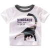 ALEXZV Toddler Boy' Shirts 2 Packs Dinosaur Short Sleeve Tops T-Shirt Size for 3-6 Years (US, Age, 4 Years, White) view 2