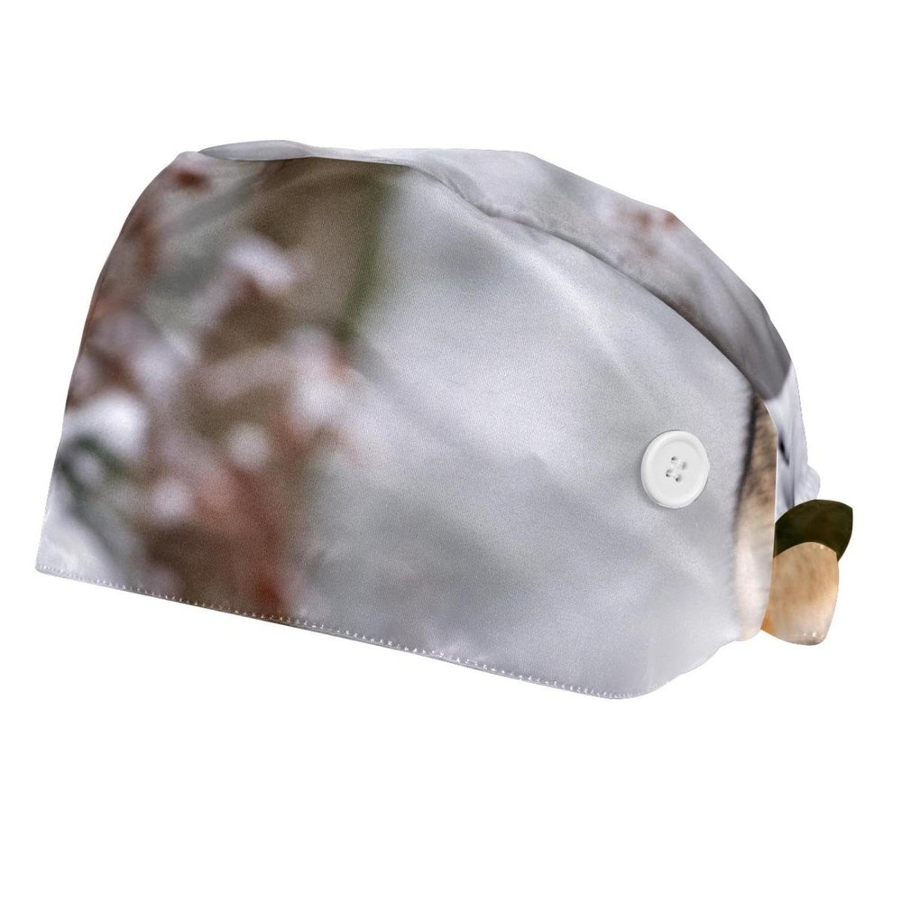 2-Pc,Bouffant Nurse Hats,Scrub Cap Adjustable Scrub Hats with Sweatband,Wild Animal Wolf Snow
