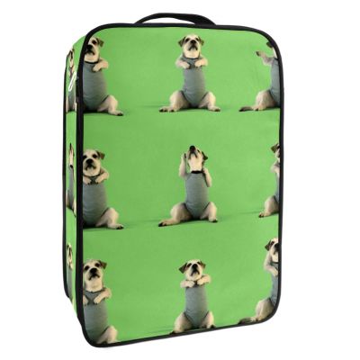 Travel Shoe Bag,Waterproof Portable Organizer Storage Shoe Pouch,Schnauzer Dog Yoga