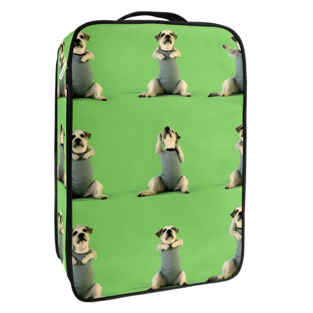 Travel Shoe Bag,Waterproof Portable Organizer Storage Shoe Pouch,Schnauzer Dog Yoga
