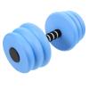 INOOMP Water Dumbbells for Aquatic Aerobics Lightweight Hand Weights for Pool Exercises Water Resistance Training Equipment for Adults for Rehabilitation and Fitness view 1
