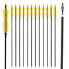 31" Carbon Hunting Arrows Archery Target Practice Arrows with 5" Turkey Feathers Spine 500 for Recurve Bow and Compound Bow(Pack of 12) (7.8MM Yellow) view 1