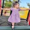 AGQT Baby Girls Plaid Dress Gingham Fly Sleeve Backless Summer Dresses Spring Smocked Birthday Easter Dresses Purple White Lattice Size 6-12 Months view 2