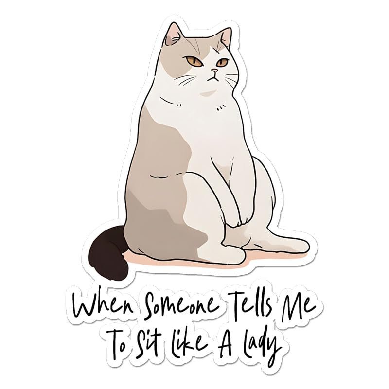 Sit Like A Lady Vinyl Decal Sticker- 5.25" x 3.75"