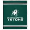 LOGOVISION Williston State College Picnic Outdoor Blanket, 50"x60" Primary Logo, Foldable Blanket for Picnic, Beach, Camping, Park, Tailgate view 2