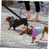 PACKOVE Multi-Function Nylon Webbing Strap for Backpack Tent Dog Leash Tear-Resistant view 3