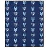 LOGOVISION Upper Iowa University Picnic Outdoor Blanket, 50"x60" Logo Pattern, Foldable Blanket for Picnic, Beach, Camping, Park, Tailgate view 2
