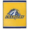 LOGOVISION University of New Haven Picnic Outdoor Blanket, 50"x60" Logo Dots, Foldable Blanket for Picnic, Beach, Camping, Park, Tailgate view 2