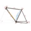 POLSO FM-002 Fixed Bike Frame 700C 52cm-55cm Single Speed Bicycle Fixed Frame Cr-Mo Made of fine Material (CR-MO Primary Color, 55cm(165-185cm)) view 2