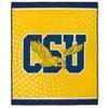 LOGOVISION Coppin University Picnic Outdoor Blanket, 50"x60" Logo Dots, Foldable Blanket for Picnic, Beach, Camping, Park, Tailgate view 2