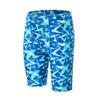 LEAO Youth Boys Swim Jammers Solid Swimsuit UPF 50+ Sun Pretection Quick Dry Athletic Swimming Shorts Alpha Omega XL view 1