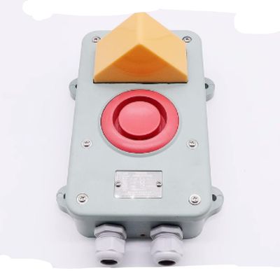 1PCS New For KL-1AG/2AG marine flashing bell group DC24/AV220V with light