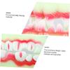 FOMIYES 5pcs Glow- Dark Zombie Dentures Artificial Halloween Teeth Props for Parties Eco-Friendly Horror Fake Teeth for Costume and Prank Events view 2