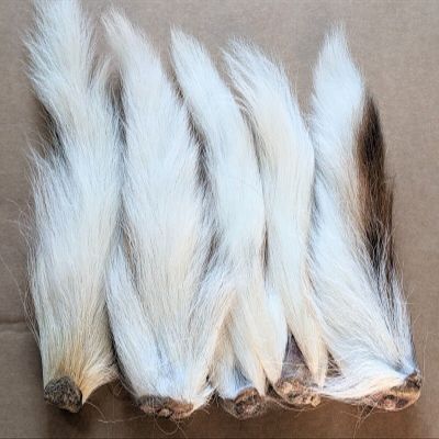 Generic 5 Bone-in Large Northern Bucktail Deer Tail Fly Jig Tying - White