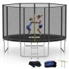 SKOK Trampolines 12FT Black Recreational Trampoline with Enclosure Net, Trampoline Outdoor for Kids and Adults, ASTM Approved, Capacity 400lbs,Black view 1