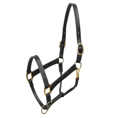 Large Horse Leather Halter w/Brass Hardware