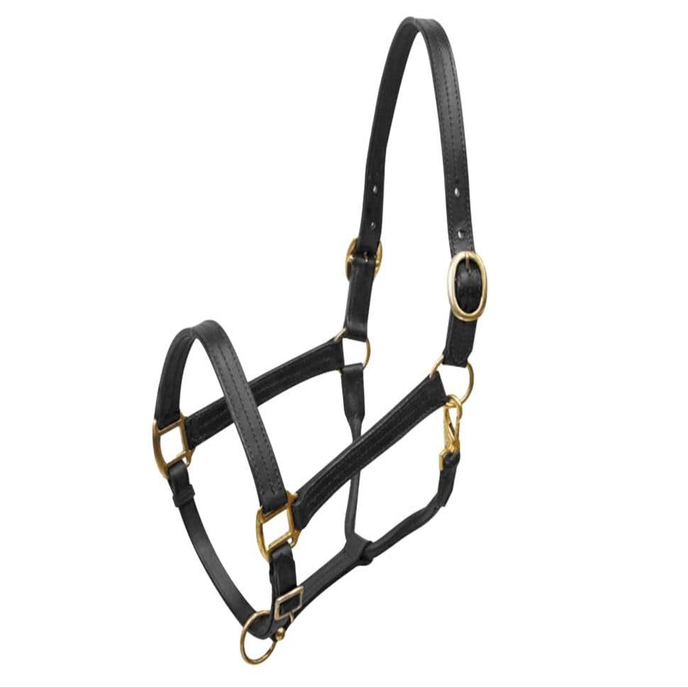 Large Horse Leather Halter w/Brass Hardware