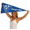 Georgia State Panthers Script Wordmark Pennant Banner Flag view 4