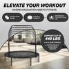 HolaHatha Foldable Mini Trampoline Fitness Rebounder for Home Gym Workouts with 5-Level Adjustable Handle, Heavy-Duty Steel Frame, Portable Design, and Supports up to 440 Pounds view 4