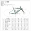 ICAN Graro Carbon Gravel Bike Frameset UCI and UDH Rear Hanger Bottom Bracket T47 49/52/54/56/58cm (Pearl White, 52cm) view 2