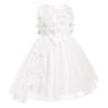 ABEWIP Baby Girls' Sleeveless Tulle Dress 3D Butterfly Special Occasion Dresses Pageant Princess Party Ball Gowns White 2-3y view 1