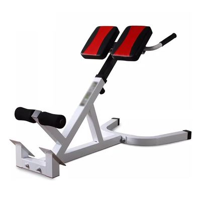 SBOJI Roman Chair Foldable Back Extension Machine, Multi-Functional Bench, Adjustable Back Exercise Bench For Home Gym, 145x70-80cm, White