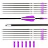 BOWSOUL 31 Archery Arrows Training Practice Target Arrows for Kids Youth or Beginners Safe Blunt Points Durable Shaft on Recurve Bows Youth Bow and Longbows(Pack of 12) (Purple White) view 1