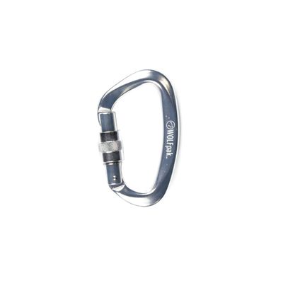 Accessory Carabiner Silver