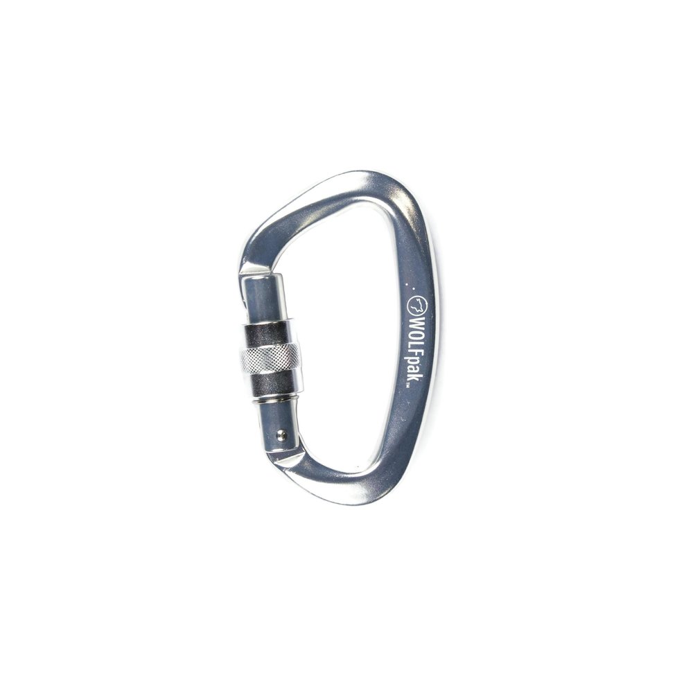 Accessory Carabiner Silver