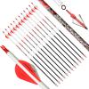 32Inch 100% Pure Carbon Arrow - Pure Carbon Professional Hunting Arrows, .003 Standard Straightness, for Compound Bow with 100 Grain Hunting Broadheads Tips (12, Red & White Vanes, Spine 700) view 1