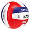 Mikasa NHFS Approval VFC1000-USA (Natural Leather/Traditional Panel Shape/Indoor Volleyball/Official Game Ball Size5) view 4