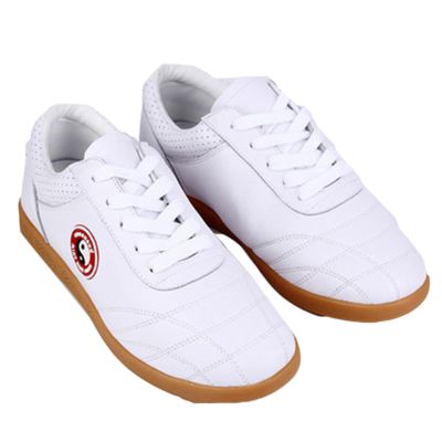 Crysterris Comfortable Martial Arts Shoes,Fashion Tai chi Shoes Non Slip Sneakers, Kung fu Walking Shoes,Training Sport Tai ji Kong Fu Shoes for Taekwondo Gym for Men Women(Size:39EU,Color:B)