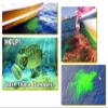 New Resources Group Marine Water Leak Fluorescent Tracing Tablets Pack Neon Green Dyes Detect Illegal Discharge Boats, EPA Standard Sewer and Drain Commercial (15 Pack) view 3