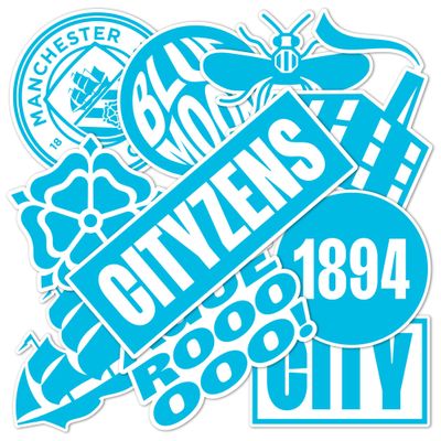 Desert Cactus Manchester City Sticker Man City MCFC Sheet Vinyl Football Soccer Decal Laptop Water Bottle Car Scrapbook (Type 2-3)
