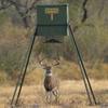 Texas Hunter Wildlife & Deer Feeder w/ 8-Foot Heavy-Duty Extension Legs - 650 lb. Corn Capacity - Model TF650L8  view 2