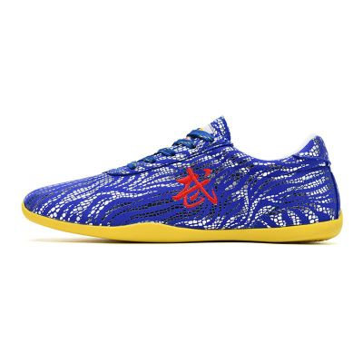Non Slip Martial Arts Sneakers Shoes, Breathable Tai chi Walking Shoes, Kung fu Shoes, Tai ji Kong Fu Training Sport Shoes for Taekwondo Gym for Men Women(Size:31EU,Color:C)