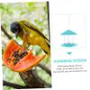 Balacoo Squirrel Outdoor Bird Food Holder Food Bowl Hanging Automatic Automatic Parrot Feeder Food Hummingbird tub Plastic Tool Outdoor Bird Feeder cage Shape Bird Feeder, 16X16CM view 2