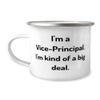 Generic Gag Vice-Principal Gifts, I'm a Vice-Principal. I'm kind of a, Best Birthday 12oz Camping Mug For Coworkers, From Colleagues, White view 1