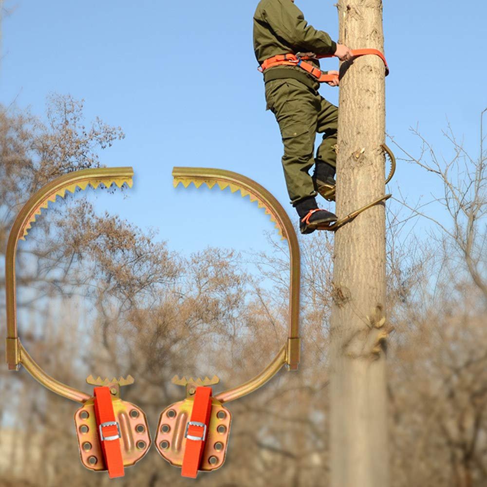 YLFFFZZZ Pole Climbing Spikes, Climbing Trees Artifact Electrician Wooden Pole Foot Buckle, Electrician Foot Buckle Wooden Pole Iron Shoes, Picking Fruit, Coconut,Various Sizes,250Model
