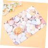 Ciieeo Coastal Rug Beach Mat Non-Slip Bath Door Mat Kitchen Rug Thick for Home Decor Stones Shells view 2