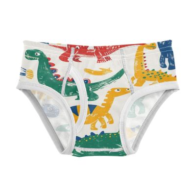 ALAZA Funny Colorful Dinosaur Boys' Briefs Soft Underwear Available in Sizes 3t Multicolor