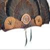 Multi-Fan Walnut or Cherry Turkey Tail Fan Display Kit for Spurs, Beards, Standard and Live Edge Options (Standard Cherry) view 2