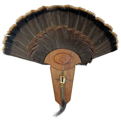 Carved Turkey Tail Mounting Kit w/ Beard and Spur Display Options - Customizeable for All Species! (Cherry)