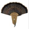 Carved Turkey Tail Mounting Kit w/ Beard and Spur Display Options - Customizeable for All Species! (Figured Oak) view 1