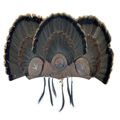 Multi-Fan Walnut or Cherry Turkey Tail Fan Display Kit for Spurs, Beards, Standard and Live Edge Options (Standard Walnut)