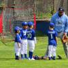 HUAOSN Baseball Hitting Net, 7' X 7' Batting Net, Baseball Training Network for Baseball and Softball Practice in Your Backyard Or Garage view 3