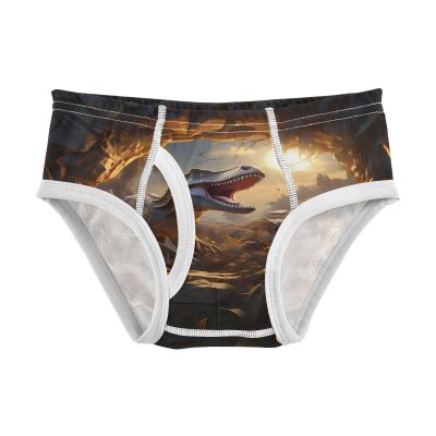 ALAZA Sun Dinosaur Boys' Briefs Soft Underwear Available in Sizes 3t Multicolor